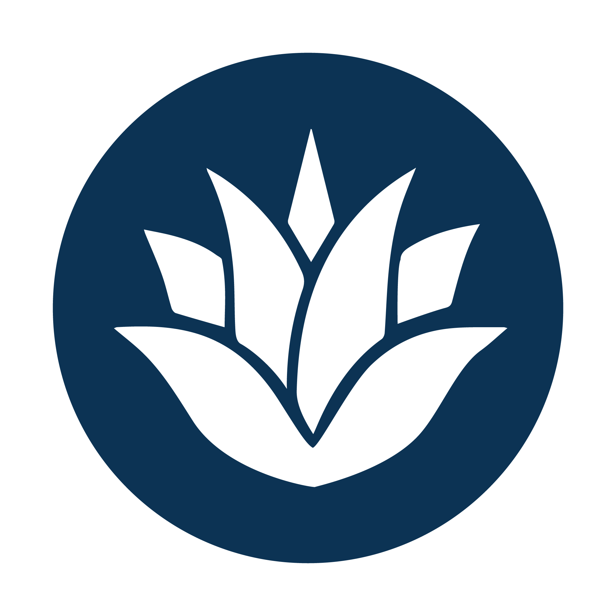 Blue agave inulin icon — natural prebiotic fiber for digestive support in Restless energy drink